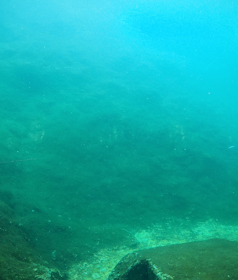 Underwater view into polar bear pool, 2022-09-14