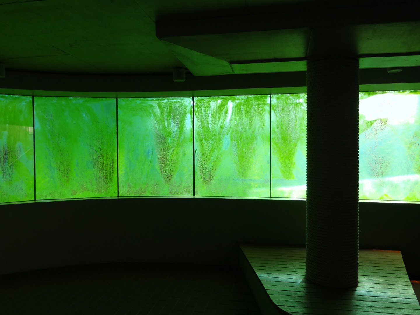 Underwater view window