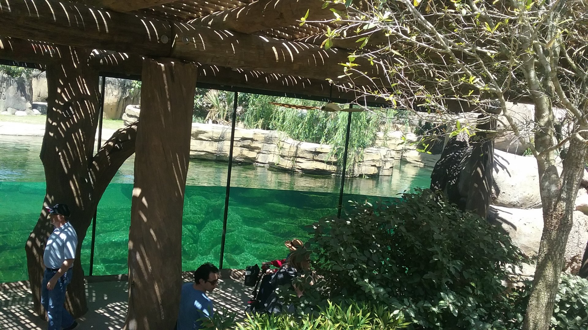 Underwater Viewing 1