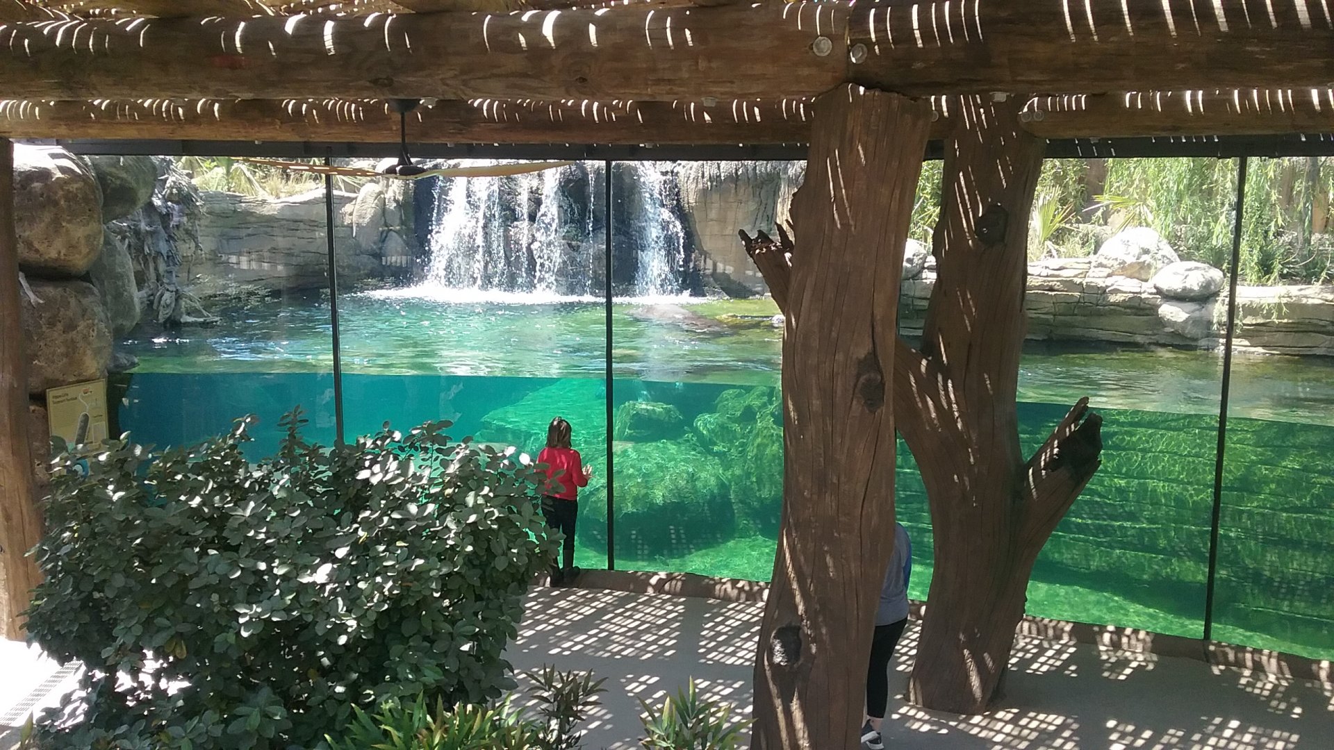 Underwater Viewing 2