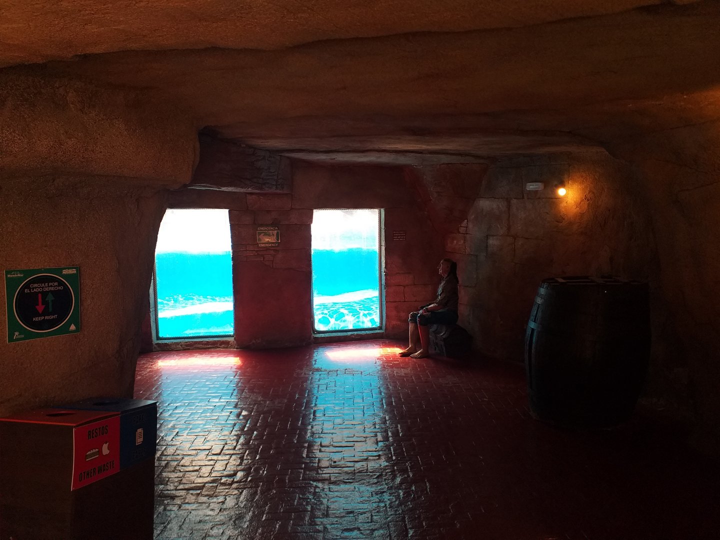 Underwater viewing area -MundoMar Benidorm (2021)