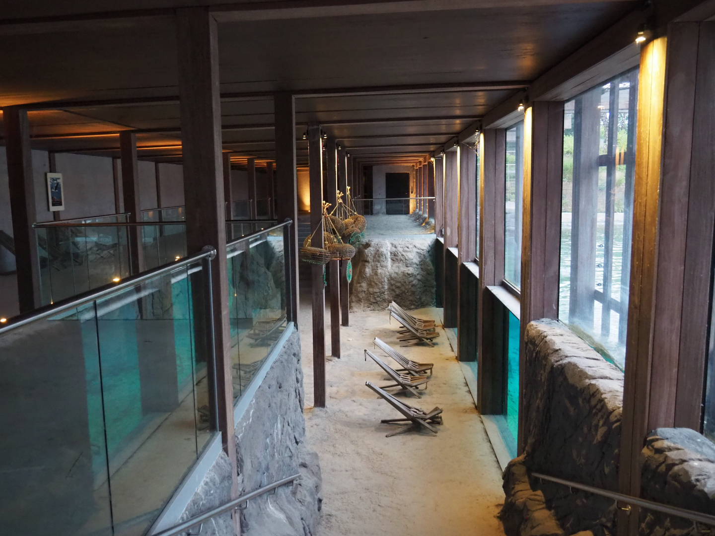 Underwater viewing area Steller's sea lions, 2020-09-03