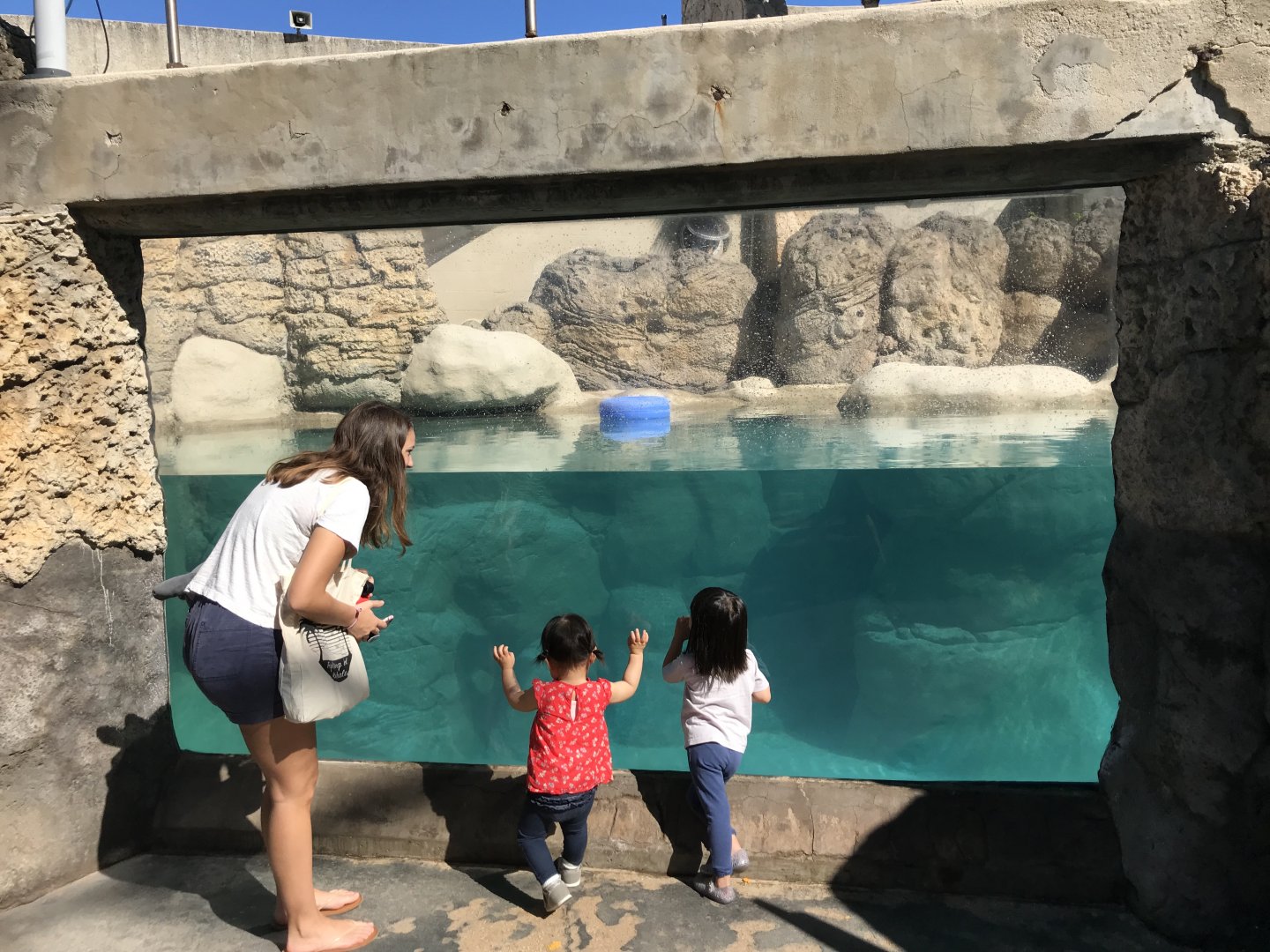 Underwater viewing area