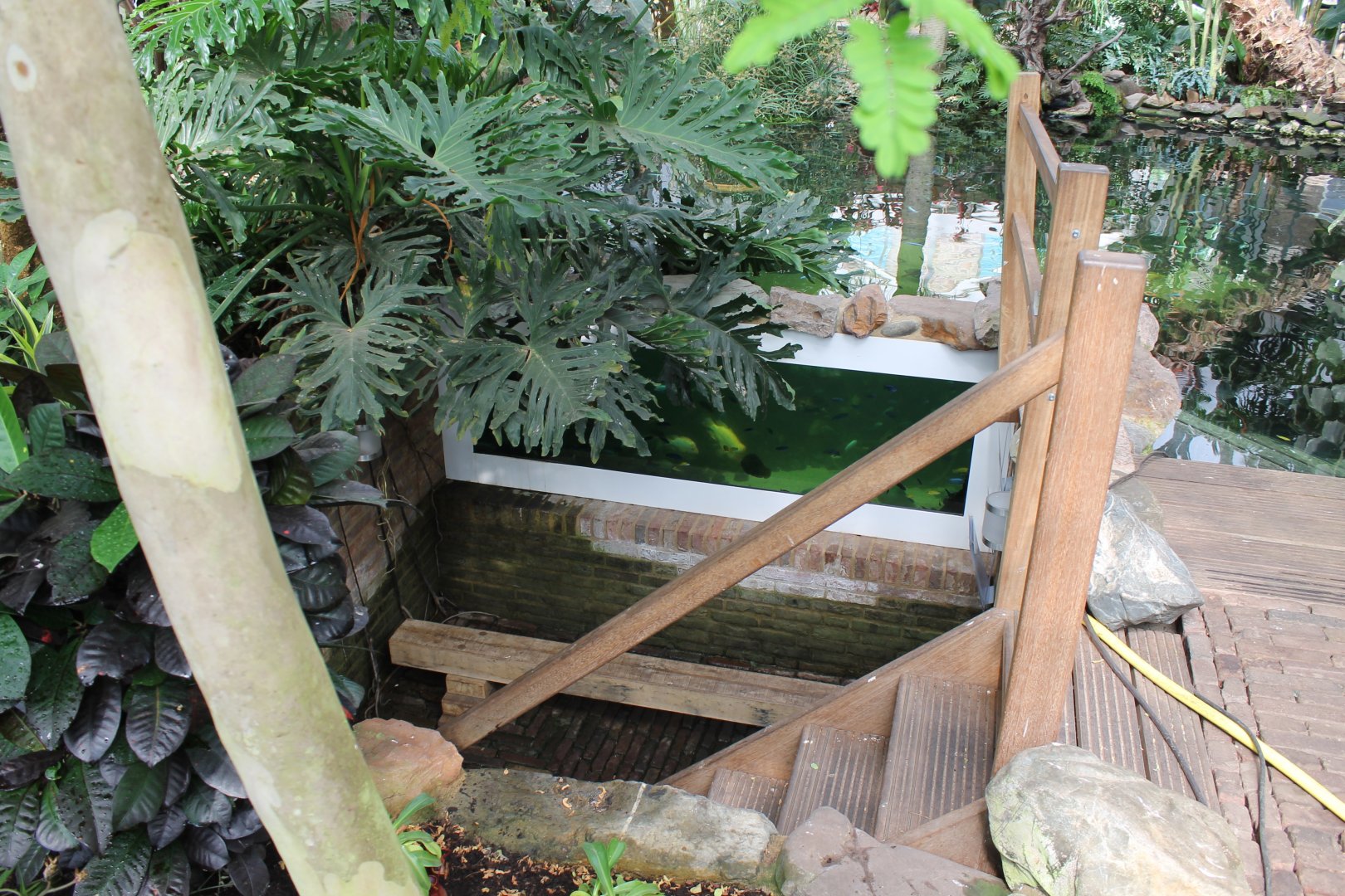 Underwater-viewing Fish-pond