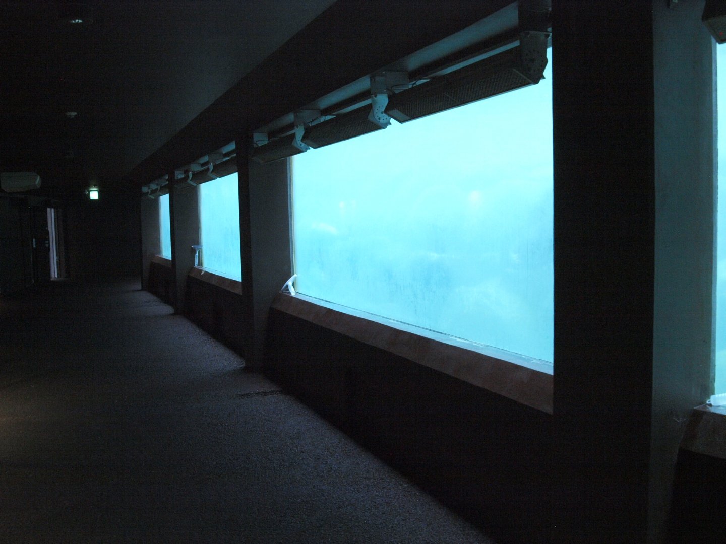 Underwater viewing for Baikal seals