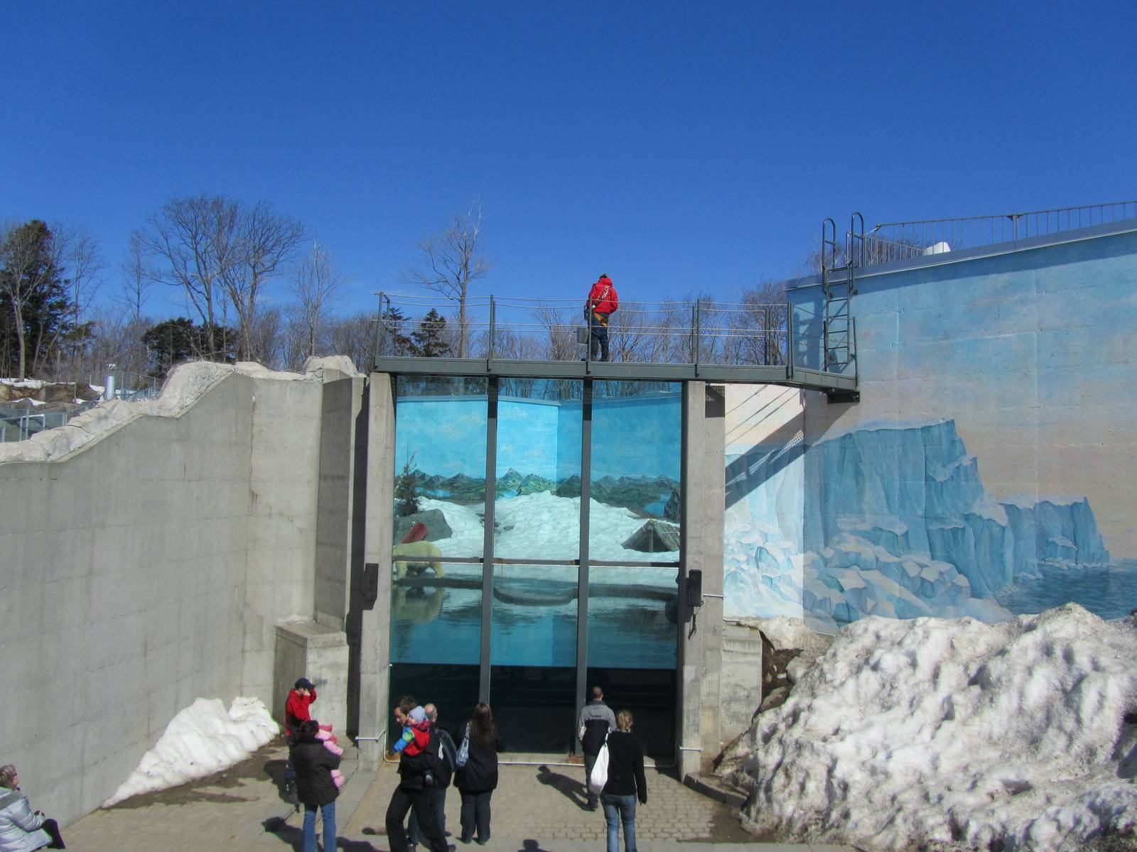 Underwater Viewing for Bears
