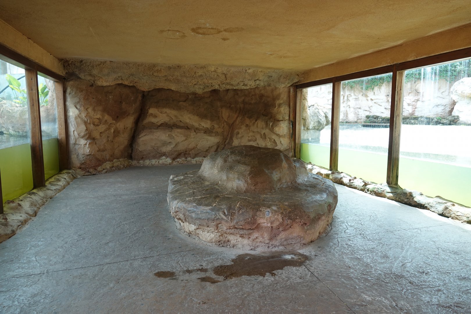 Underwater Viewing for Common Hippopotamus and Nile Crocodile