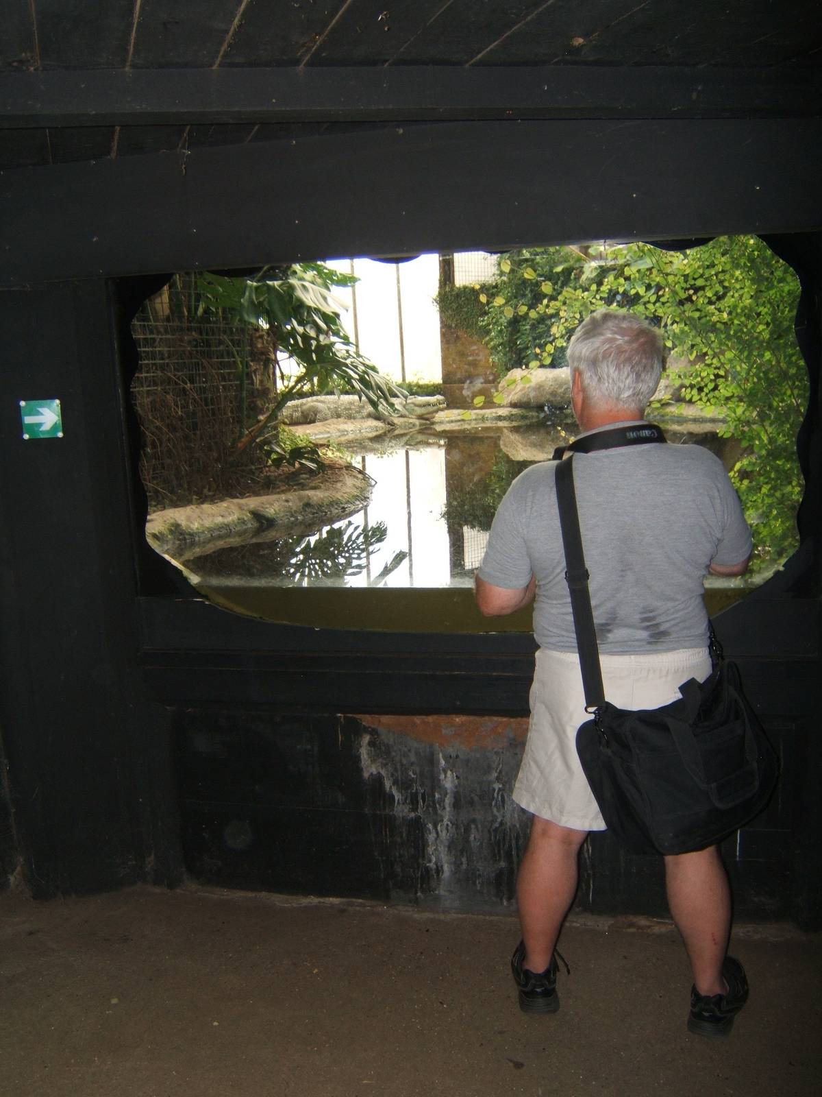 Underwater viewing for Mugger