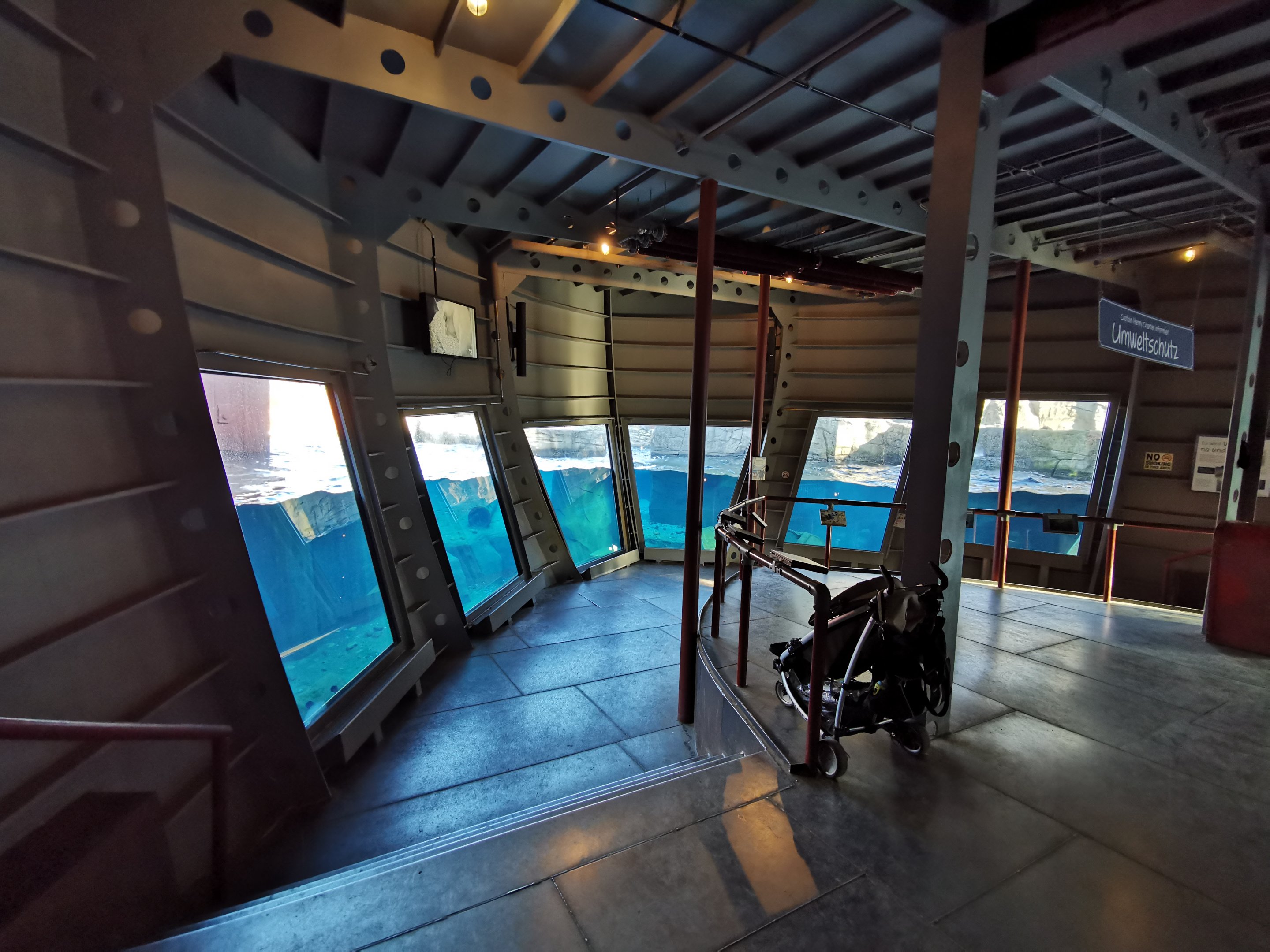 Underwater viewing for polar bears - Yukon bay