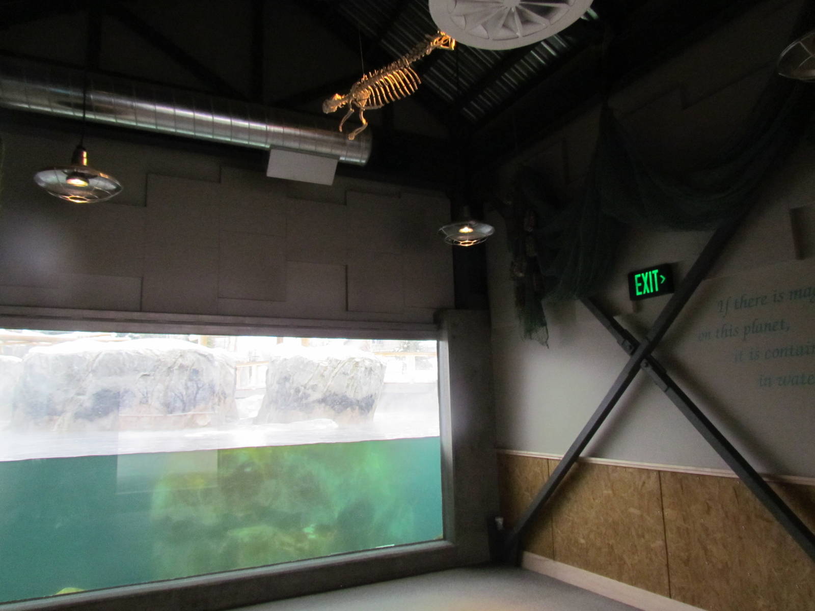 Underwater Viewing Gallery