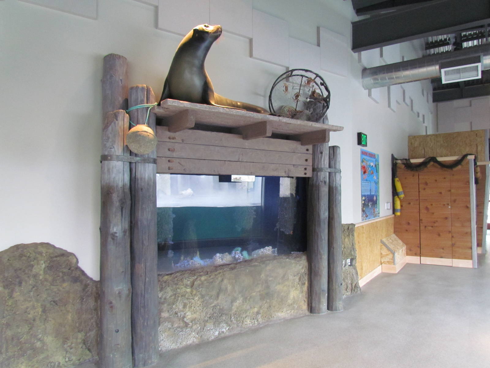 Underwater Viewing Gallery