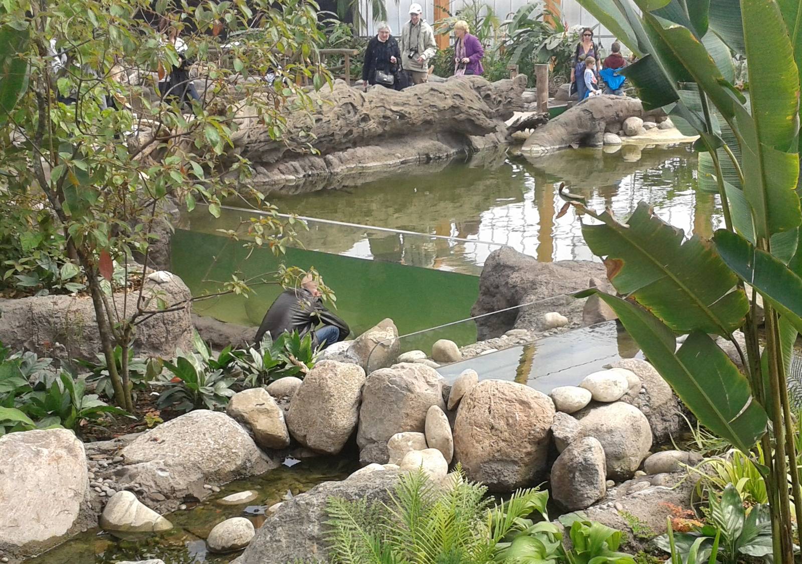Underwater-viewing in Amazonica