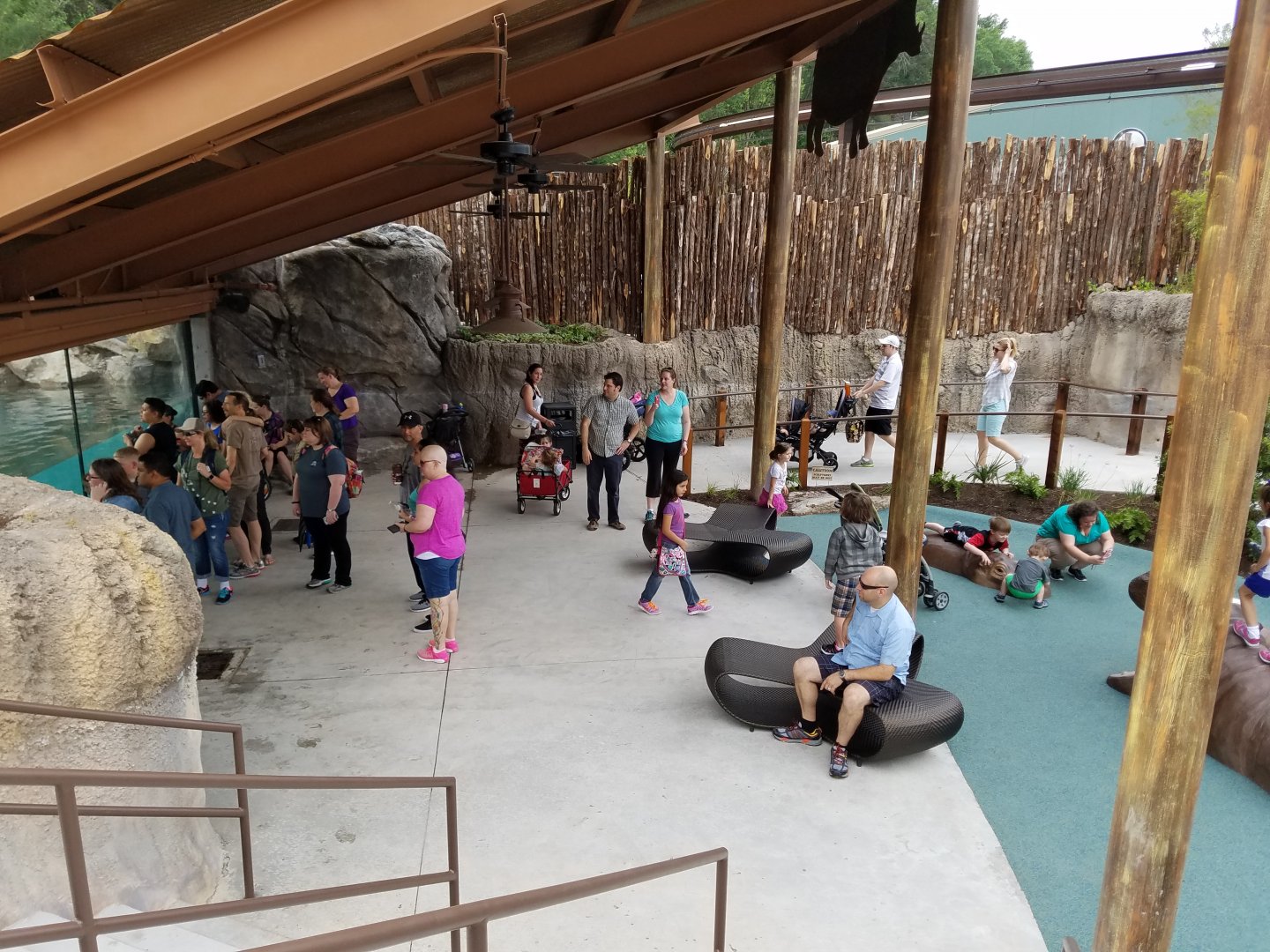 Underwater Viewing in New Hippo Outpost