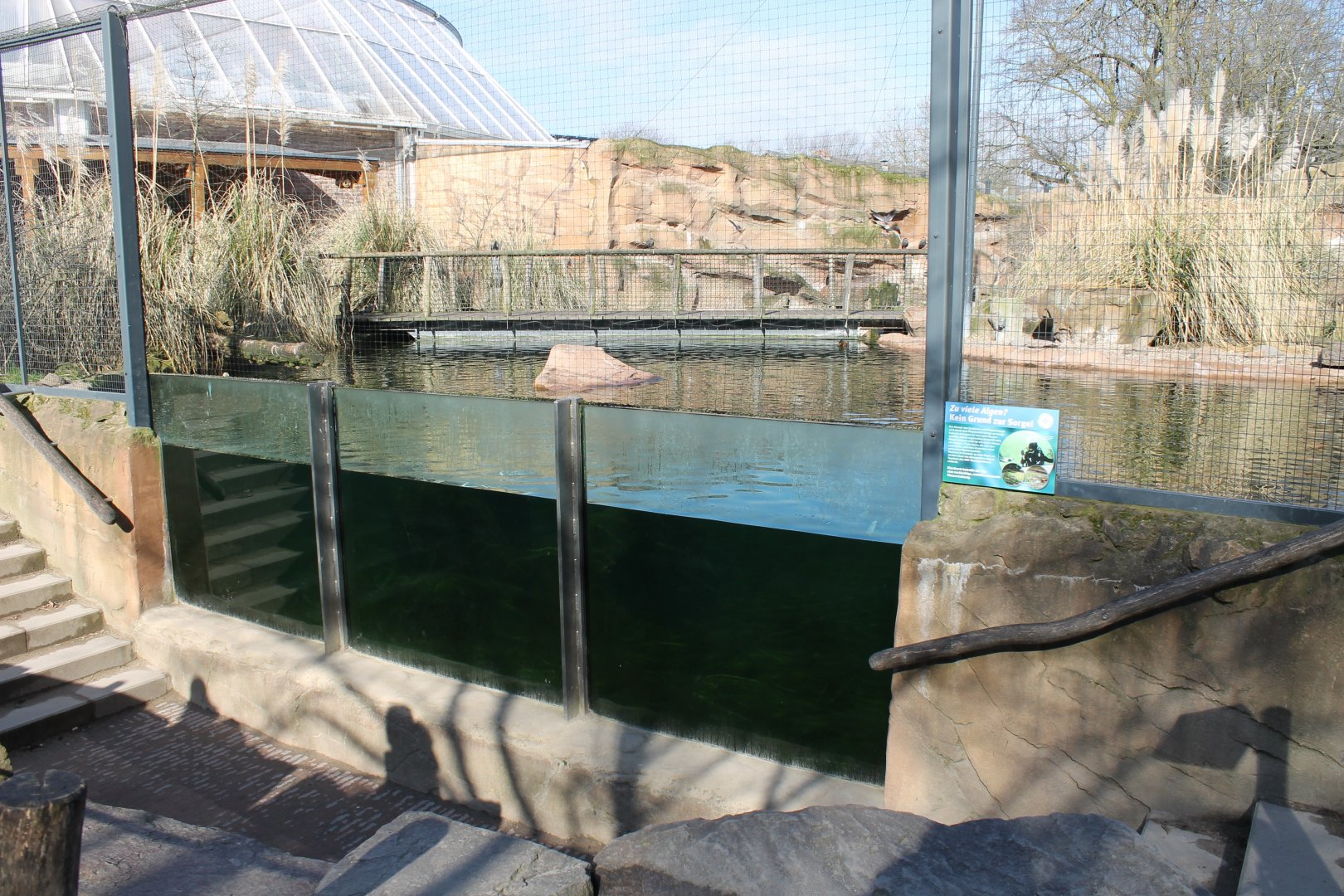 Underwater-viewing Penguin-pool