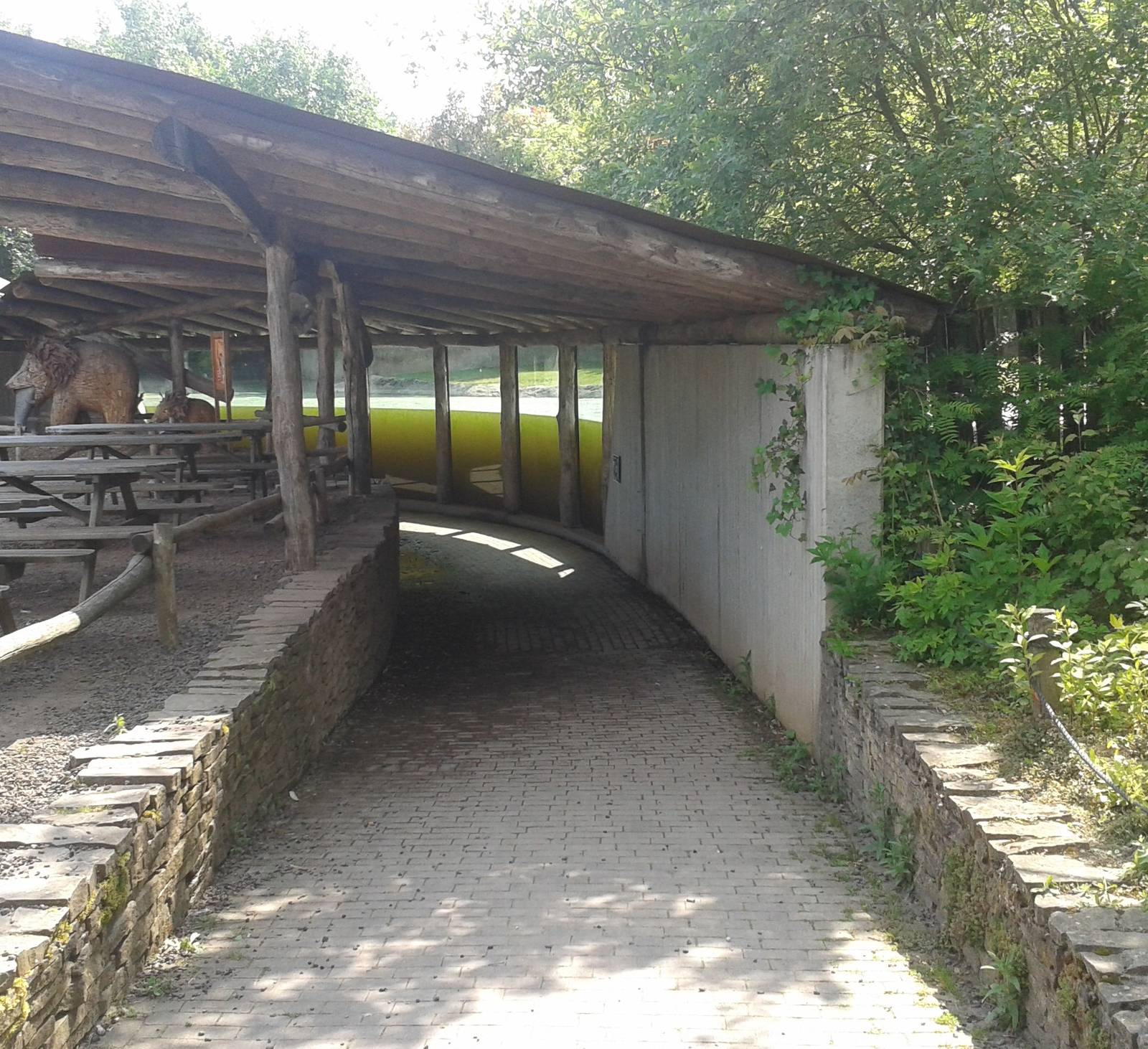 Underwater viewing Pygmy hippos