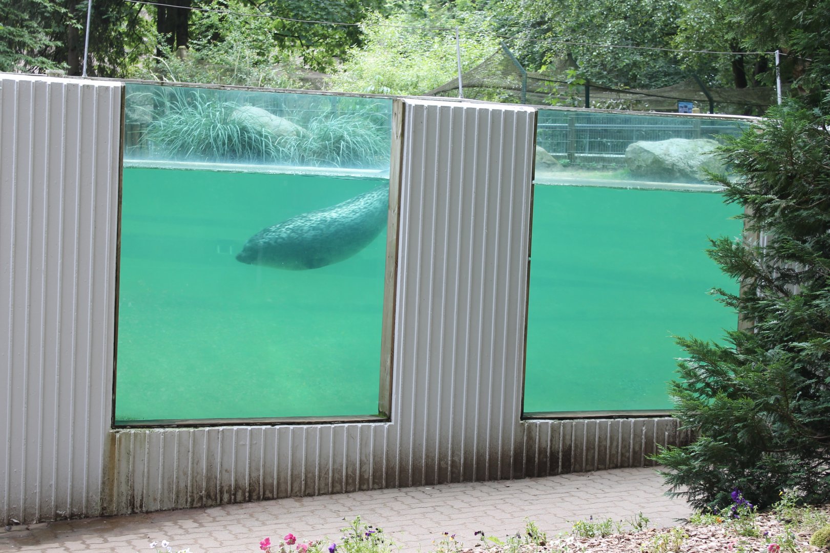Underwater-viewing Seals