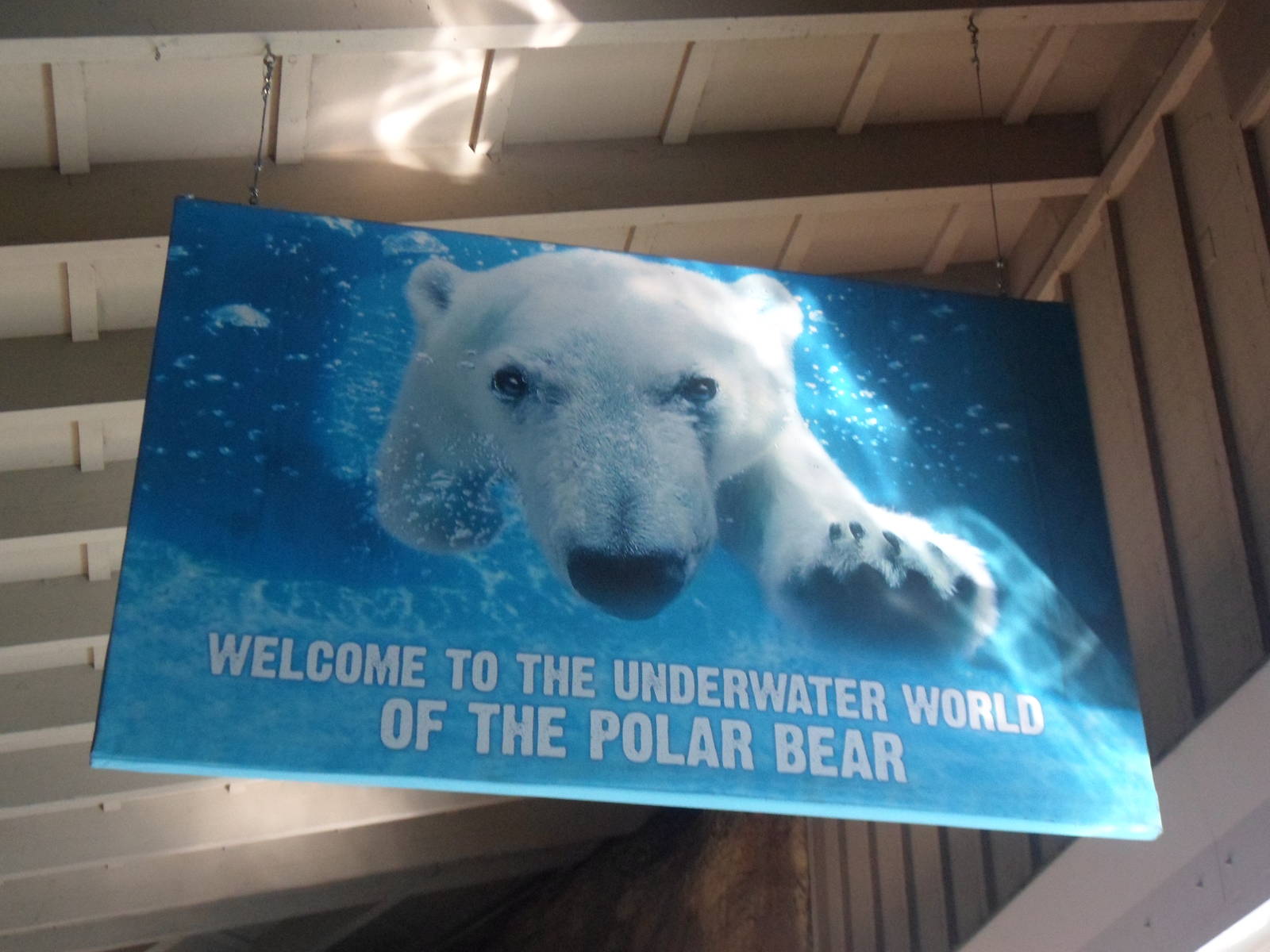 Underwater Viewing Sign