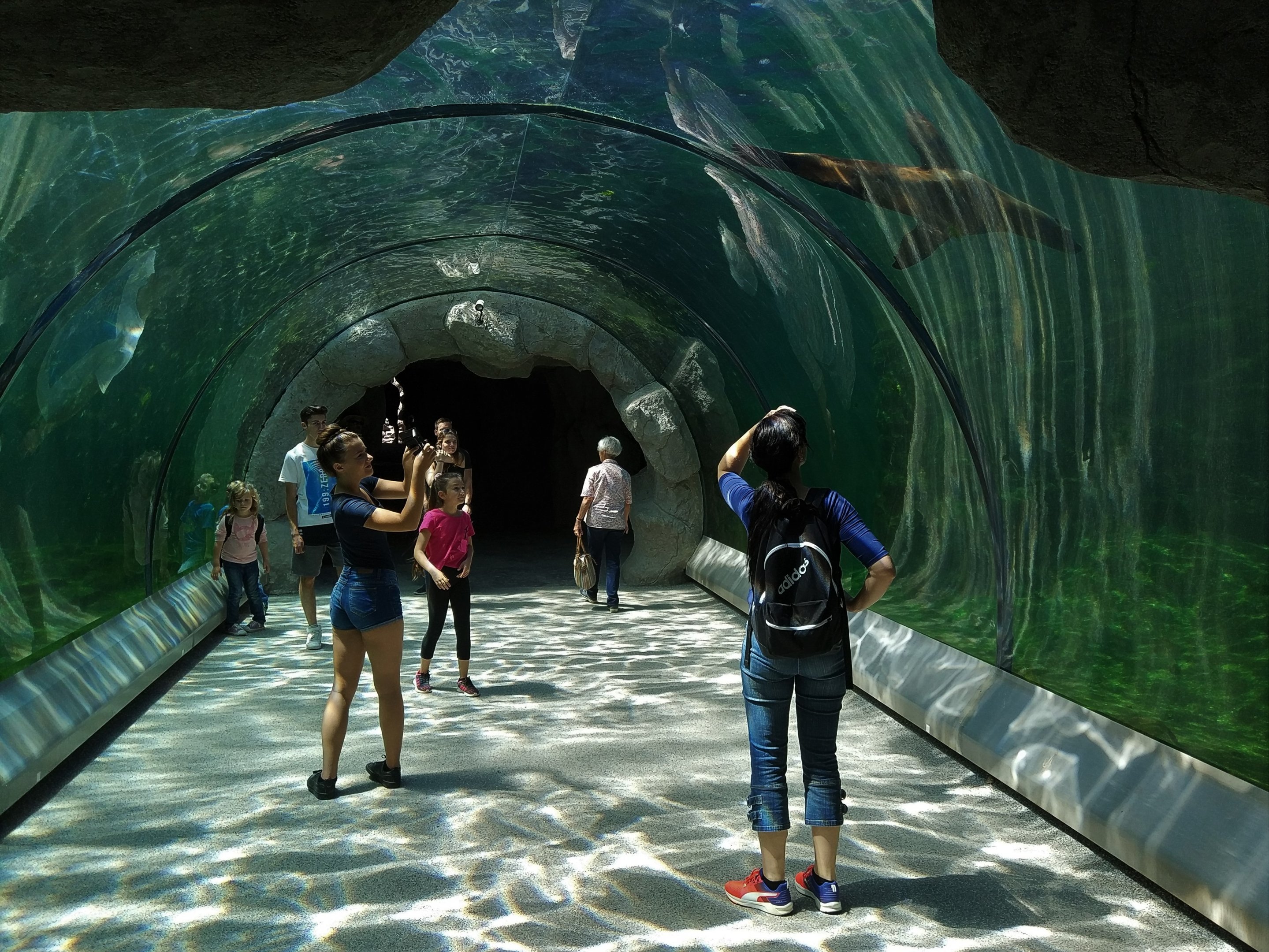 Underwater viewing tunnel
