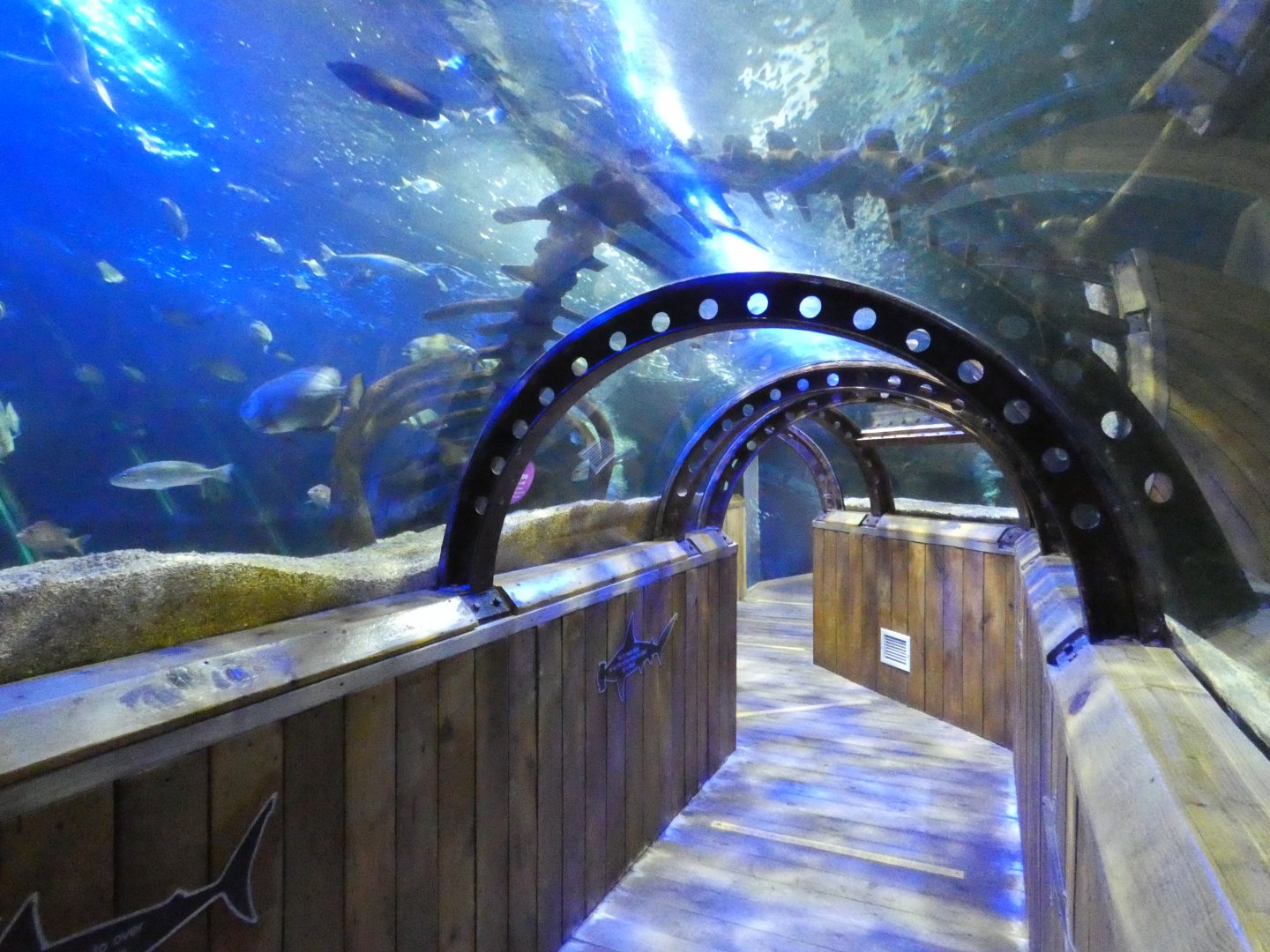 Underwater viewing tunnel