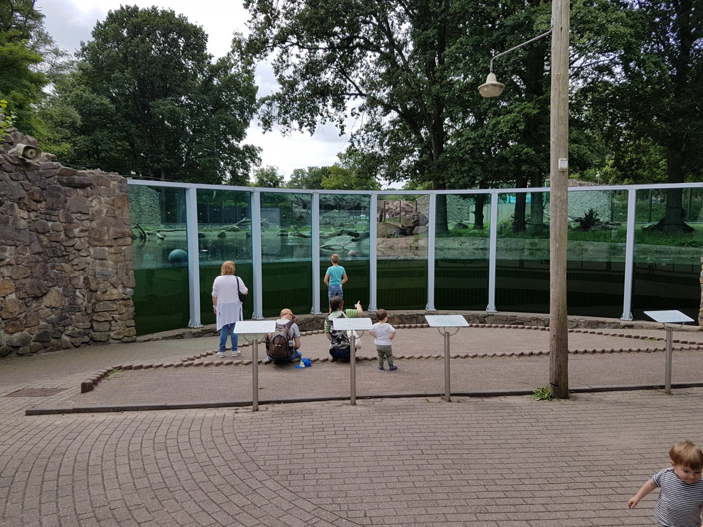 Underwater-viewing window Polar bear enclosure