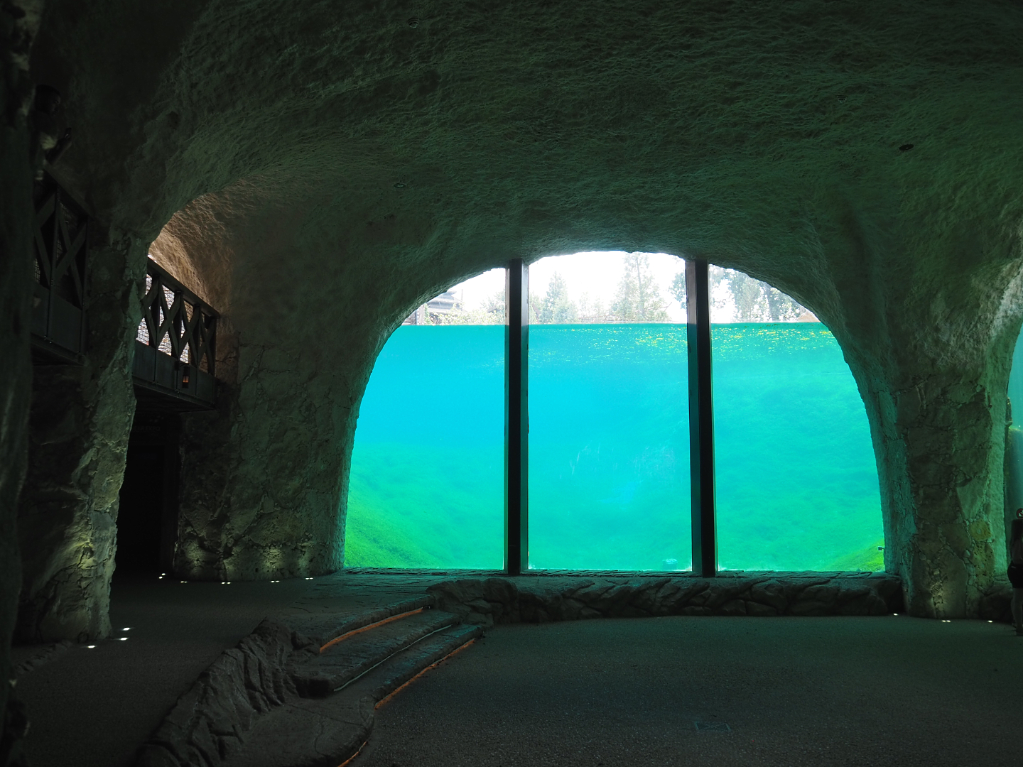 Underwater viewing window polar bear exhibit, 2022-06-28