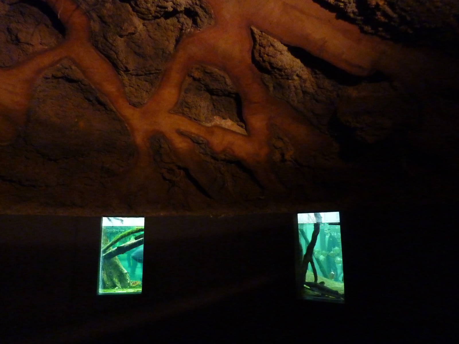 Underwater viewing windows, 7th April 2012.