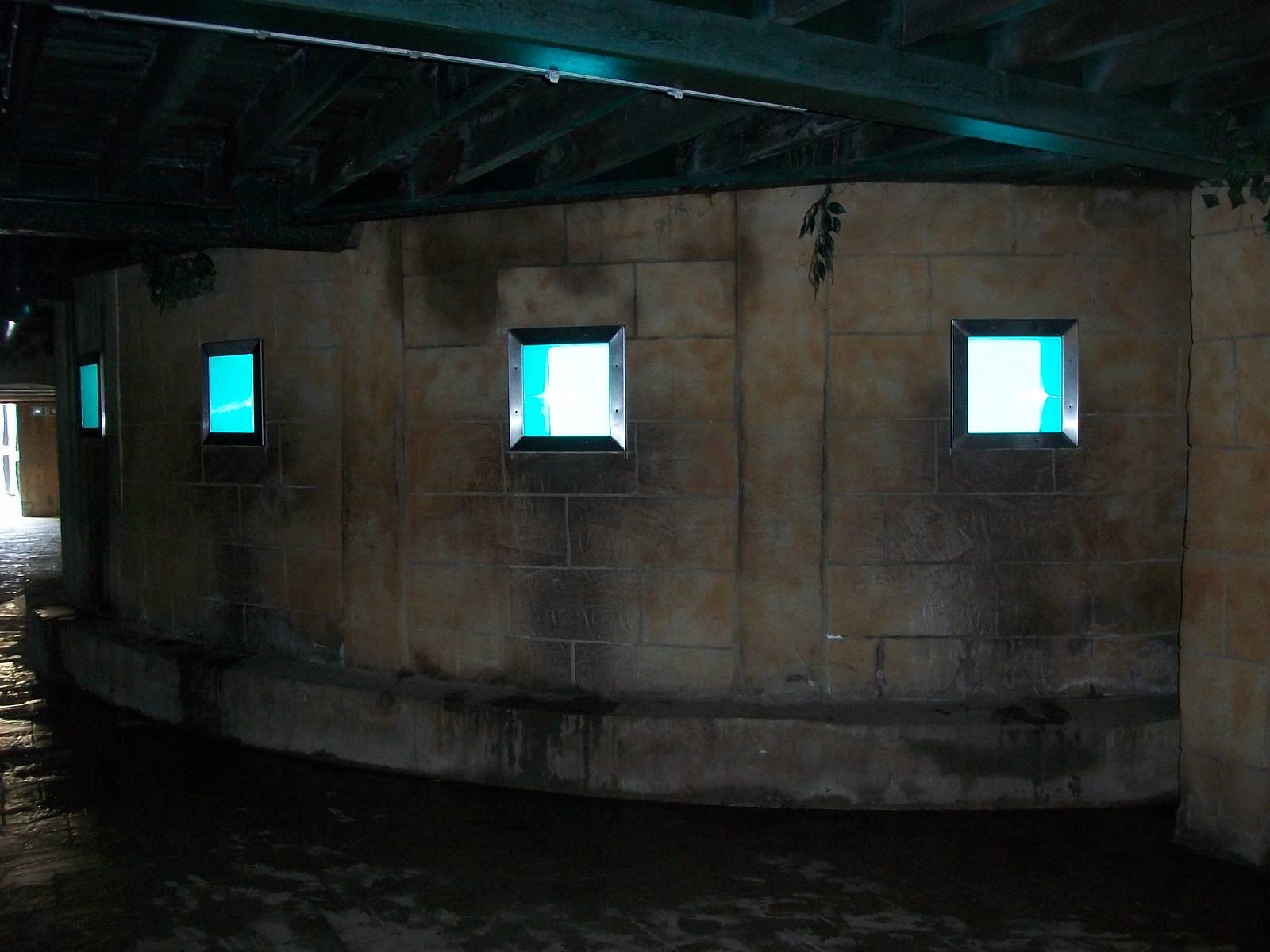 Underwater viewing windows - Sealion pool, 6th May 2014