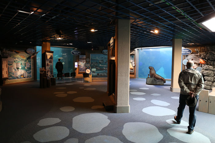 Underwater viewing windows