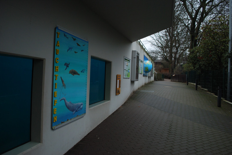 Underwater viewing windows
