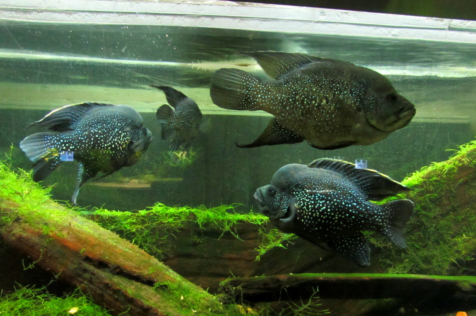 Underwater World - 05/2015