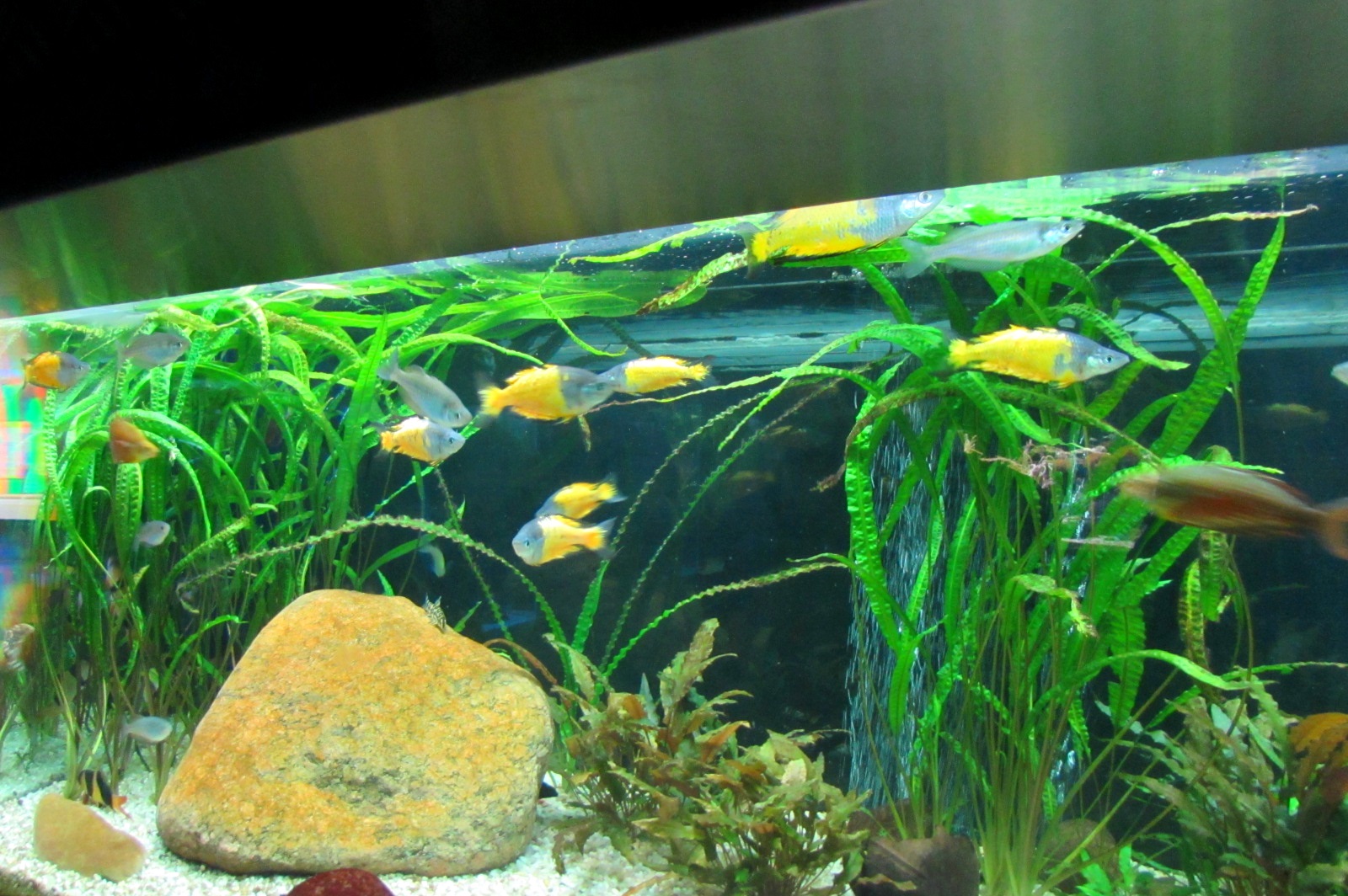 Underwater World - 05/2015