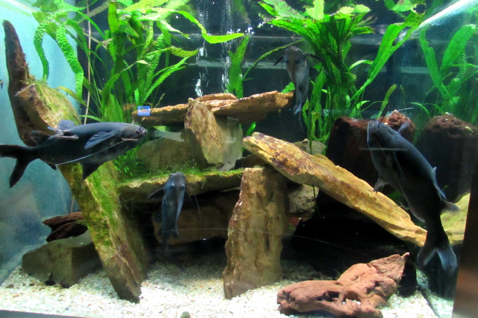 Underwater World - 05/2015