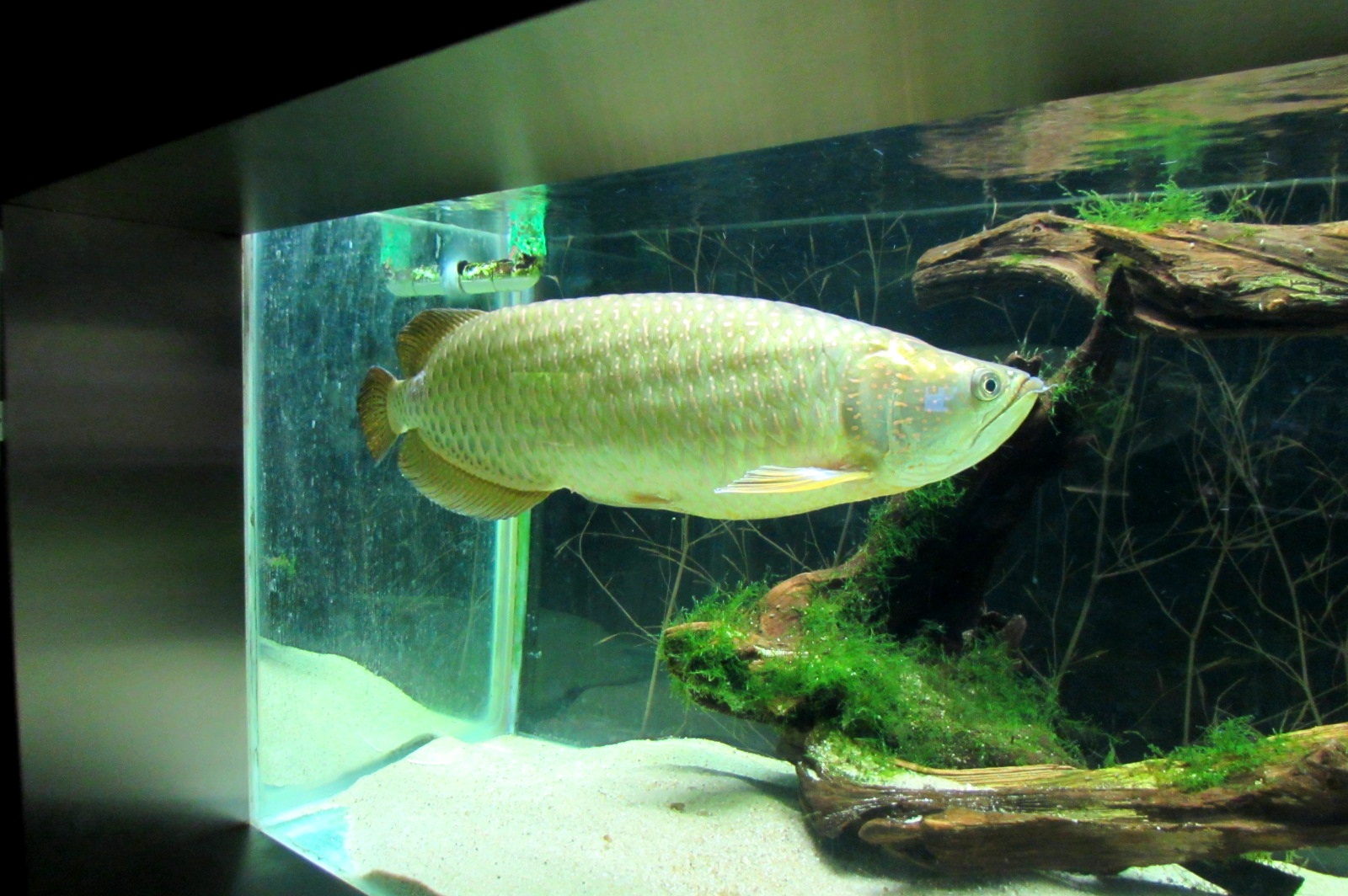 Underwater World - 05/2015