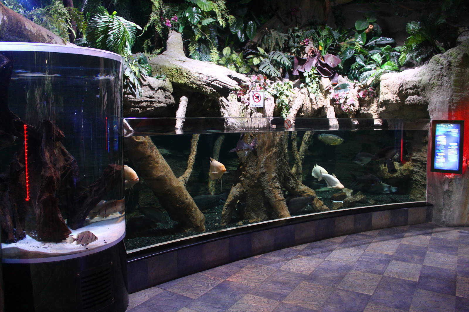 Underwater Zoo - Asian exhibit