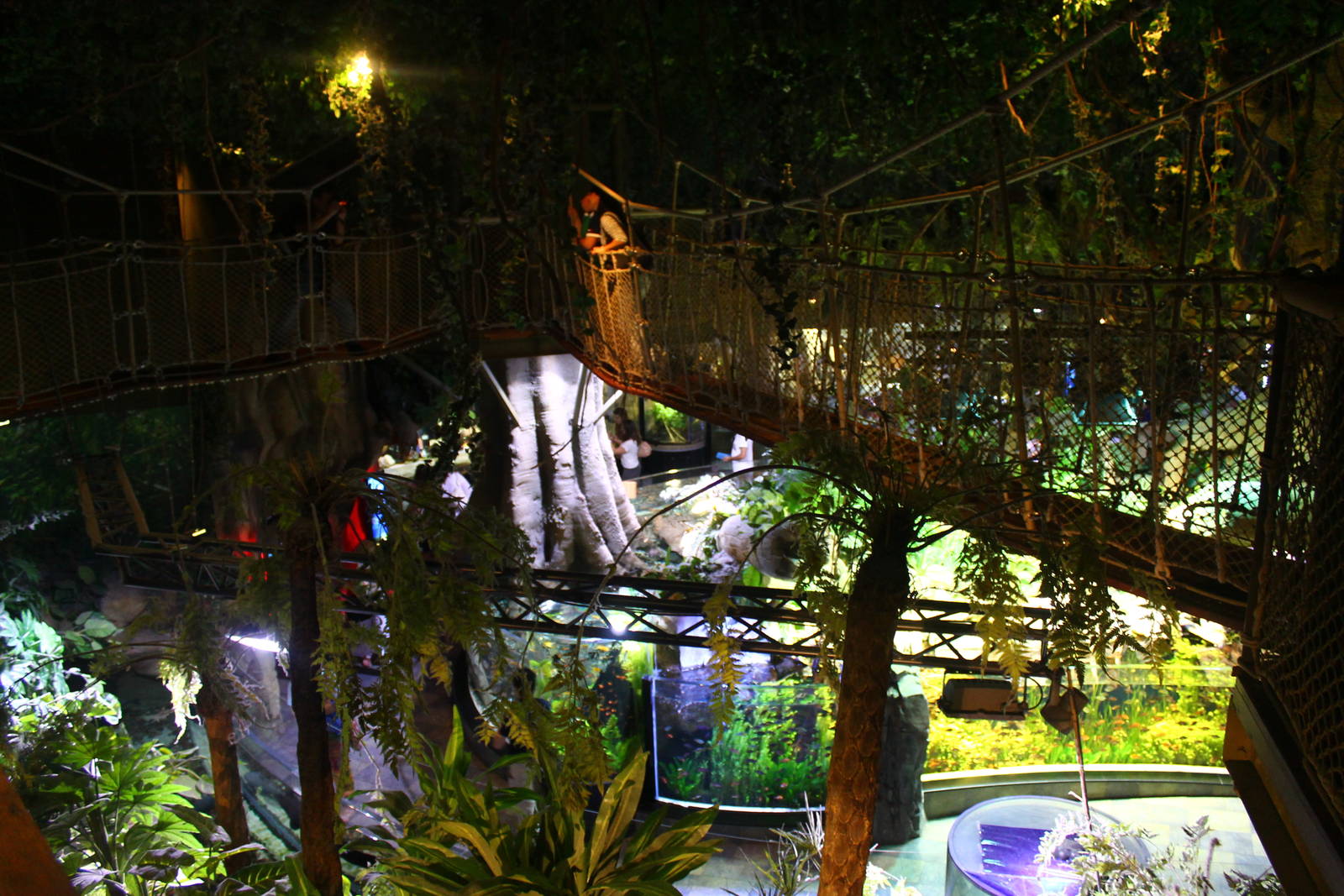 Underwater Zoo - Canopy Walkway