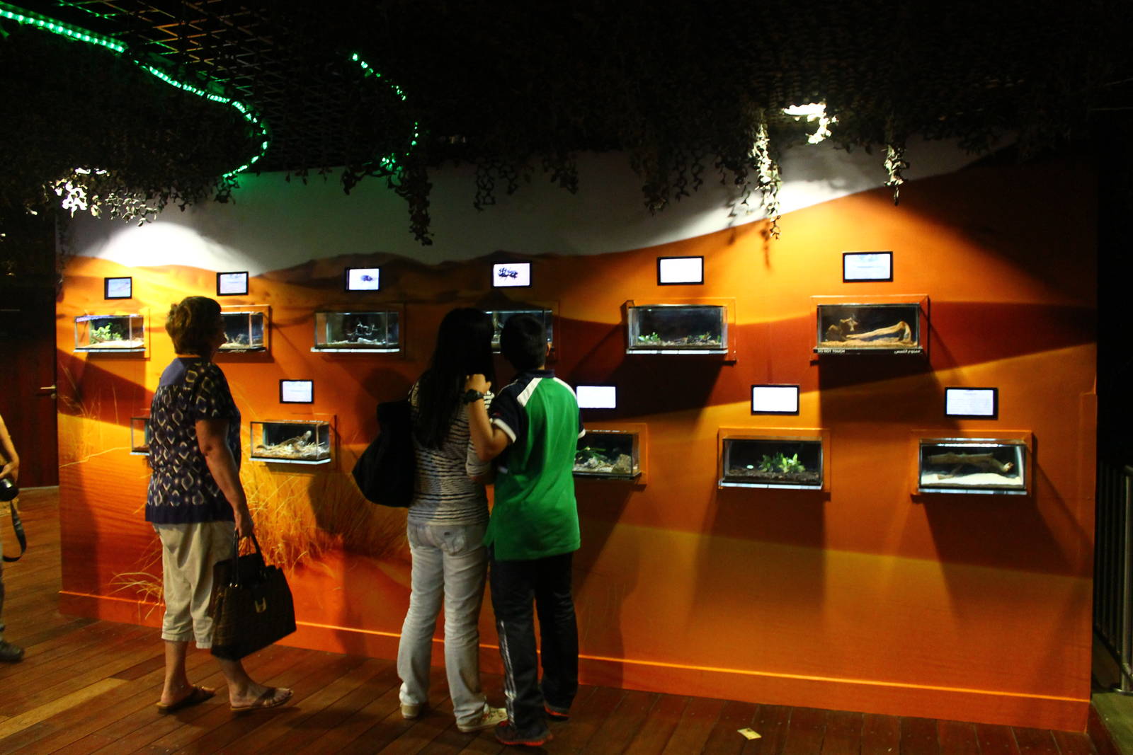 Underwater Zoo - Native species exhibit