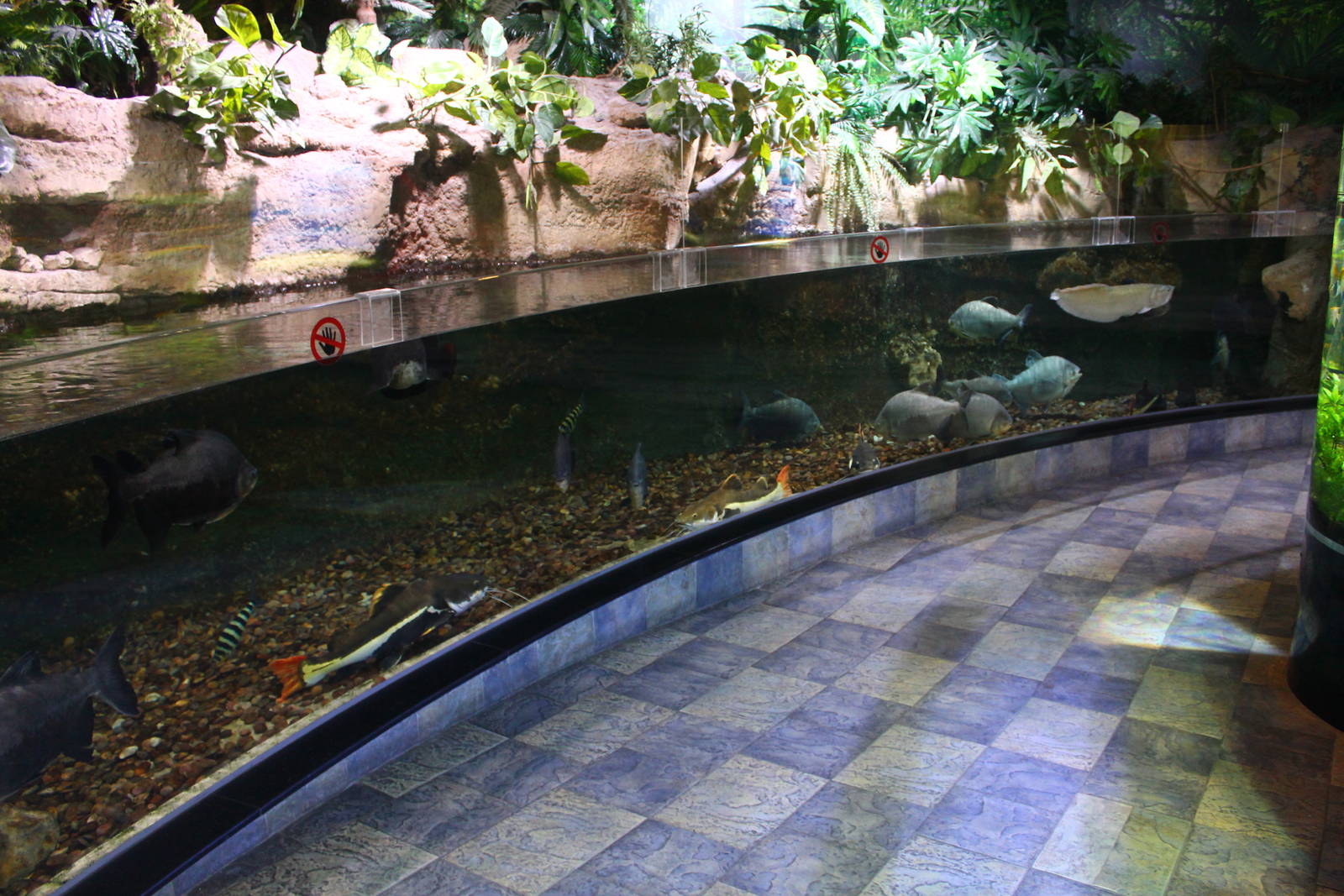 UNderwater Zoo - South American exhibit