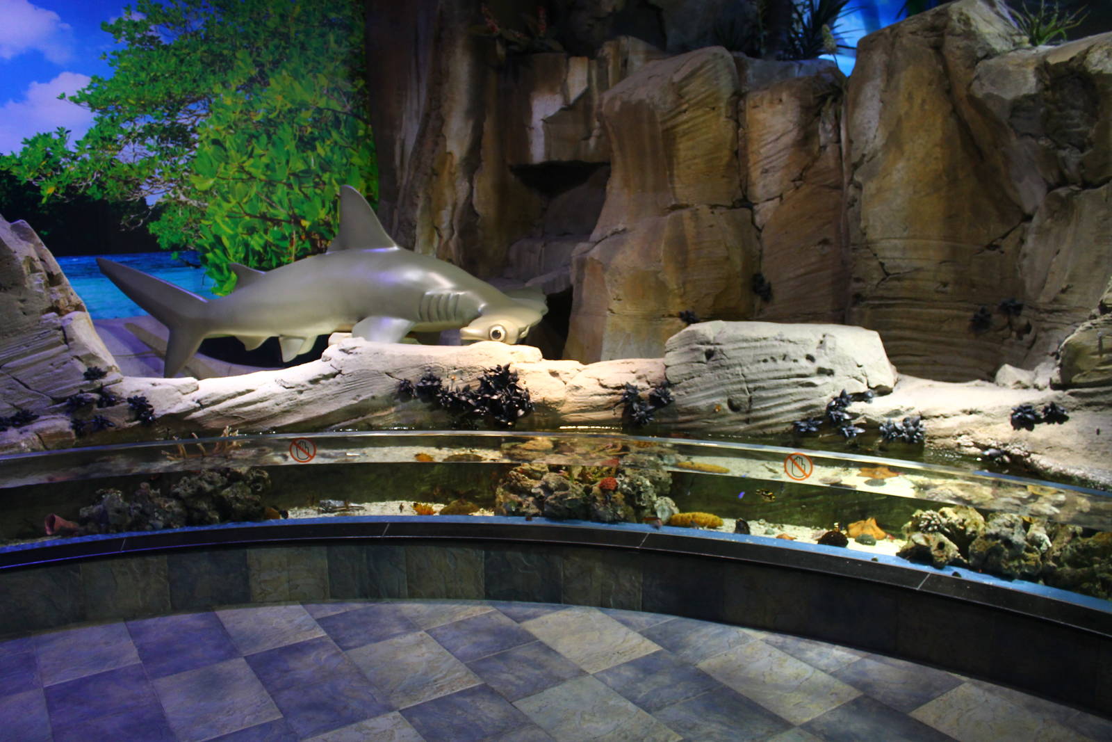 Underwater Zoo - "Touch Pool"