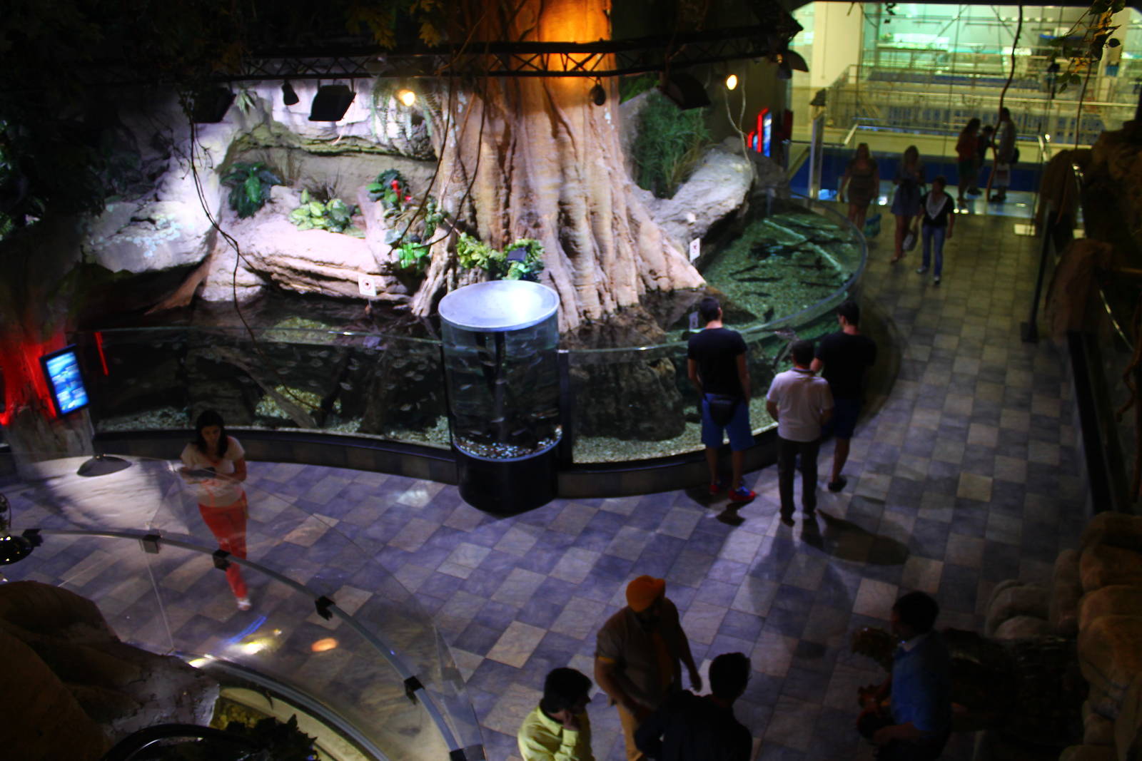 Underwater Zoo - View from above