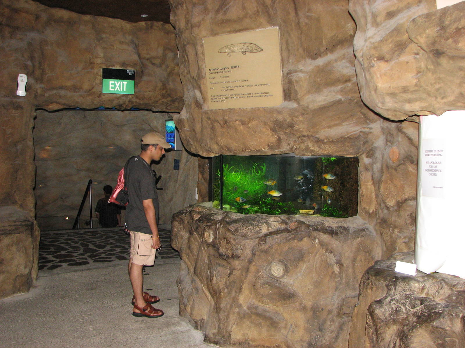 Underwaterworld Singapore 2008 - Australian Lungfish exhibit