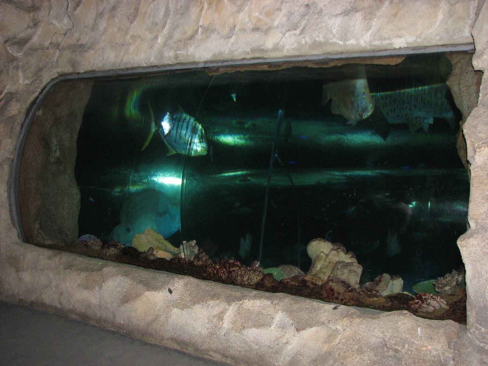 Underwaterworld Singapore 2008 - General view