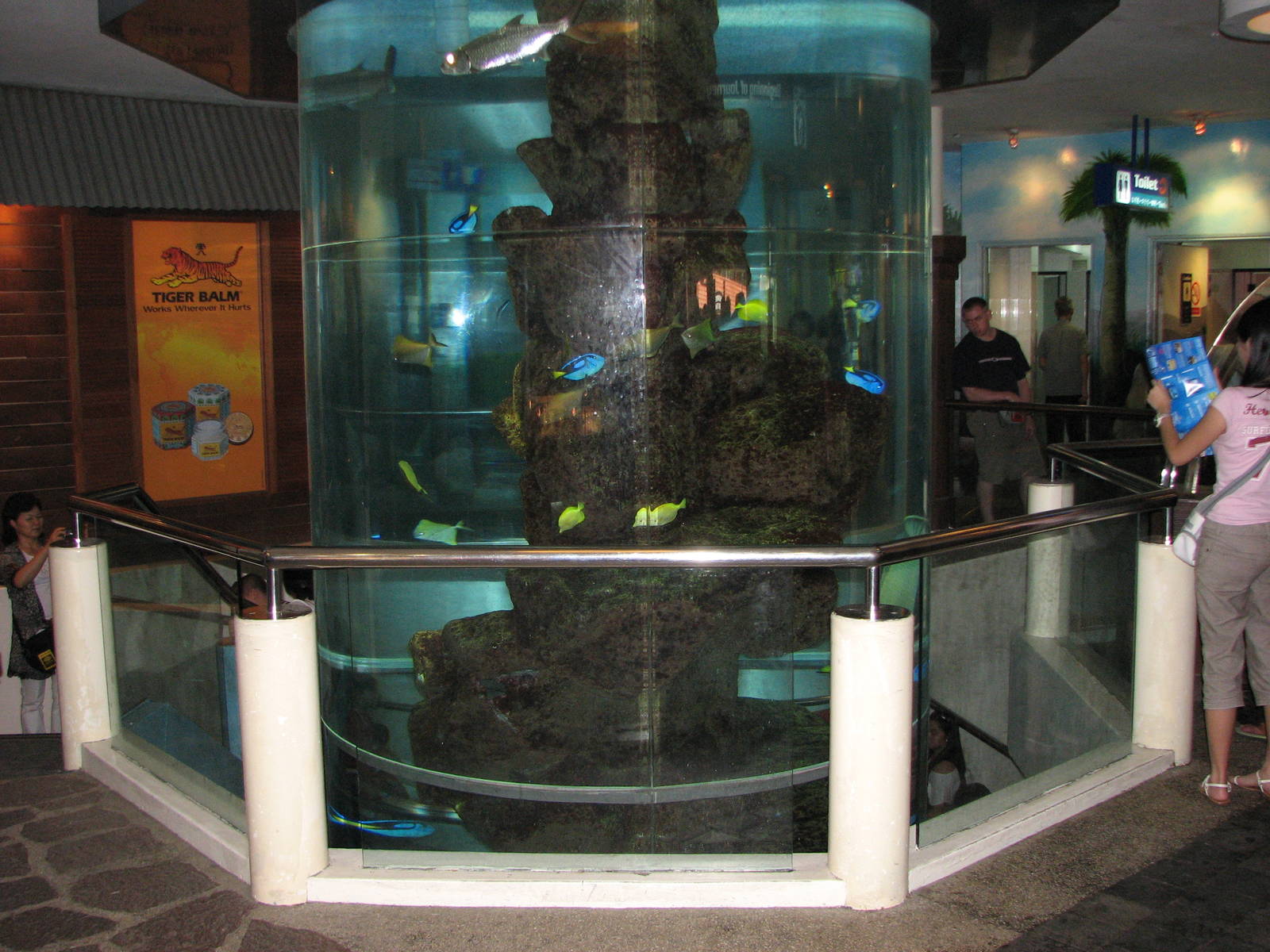 Underwaterworld Singapore 2008 - Inside tank