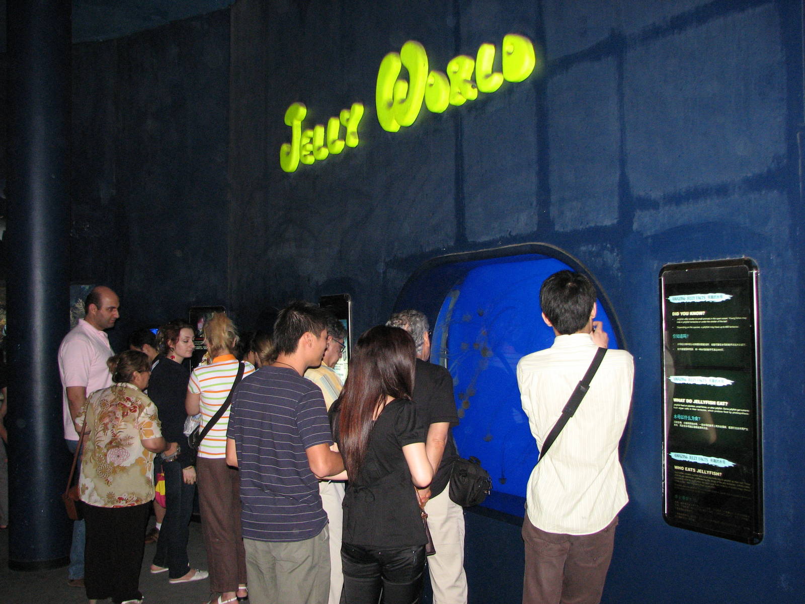 Underwaterworld Singapore 2008 - Jelly Fish tank