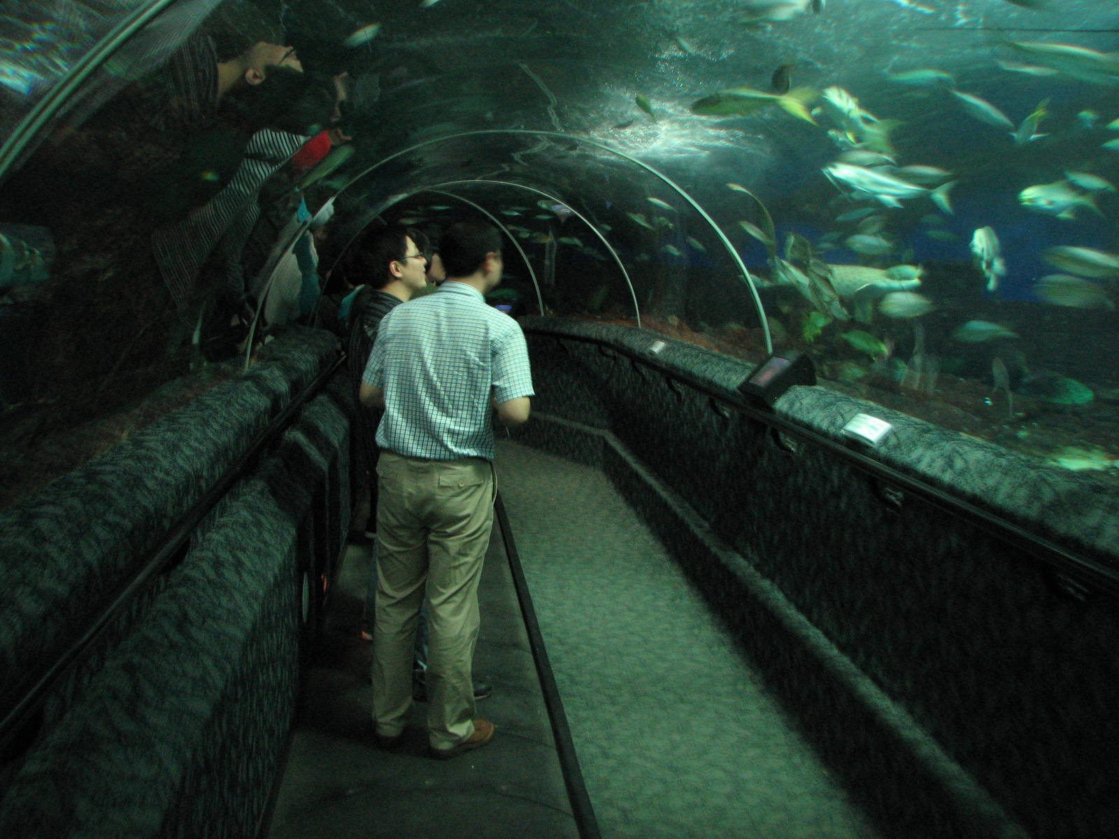 Underwaterworld Singapore 2008 - Tunnel