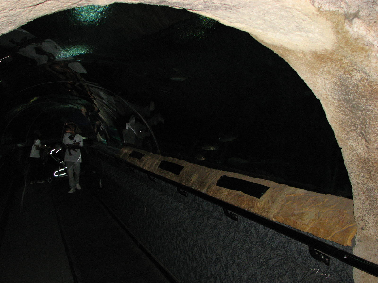 Underwaterworld Singapore 2008 - Underwater tunnel