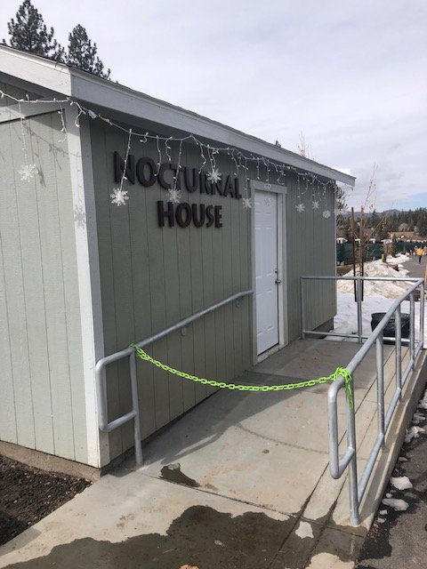 Unfinished nocturnal house