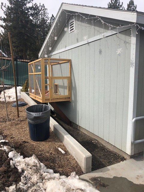 Unfinished nocturnal house