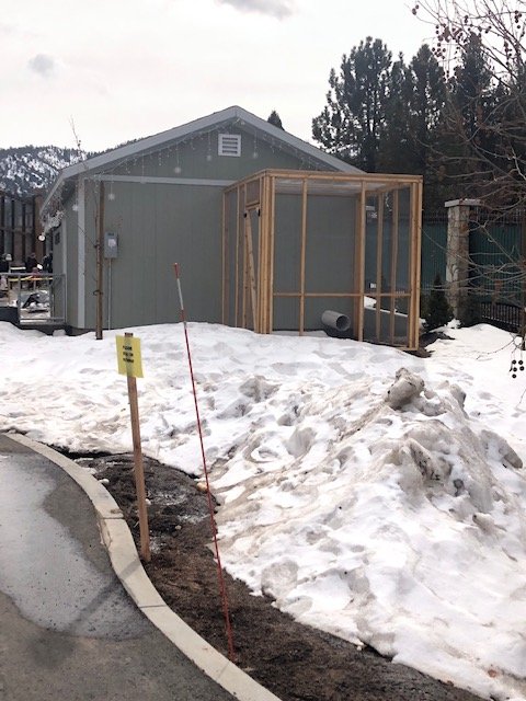 Unfinished nocturnal house