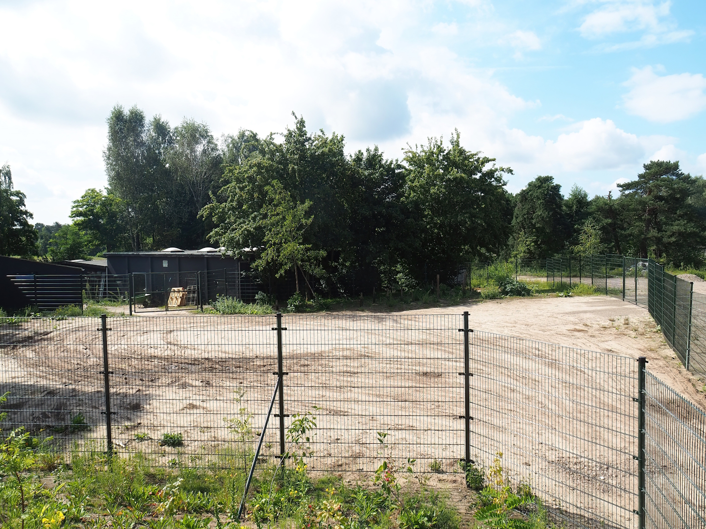Ungulate holding and separation paddock between ungulate holding and rhinoceros plains, 2023-08-15