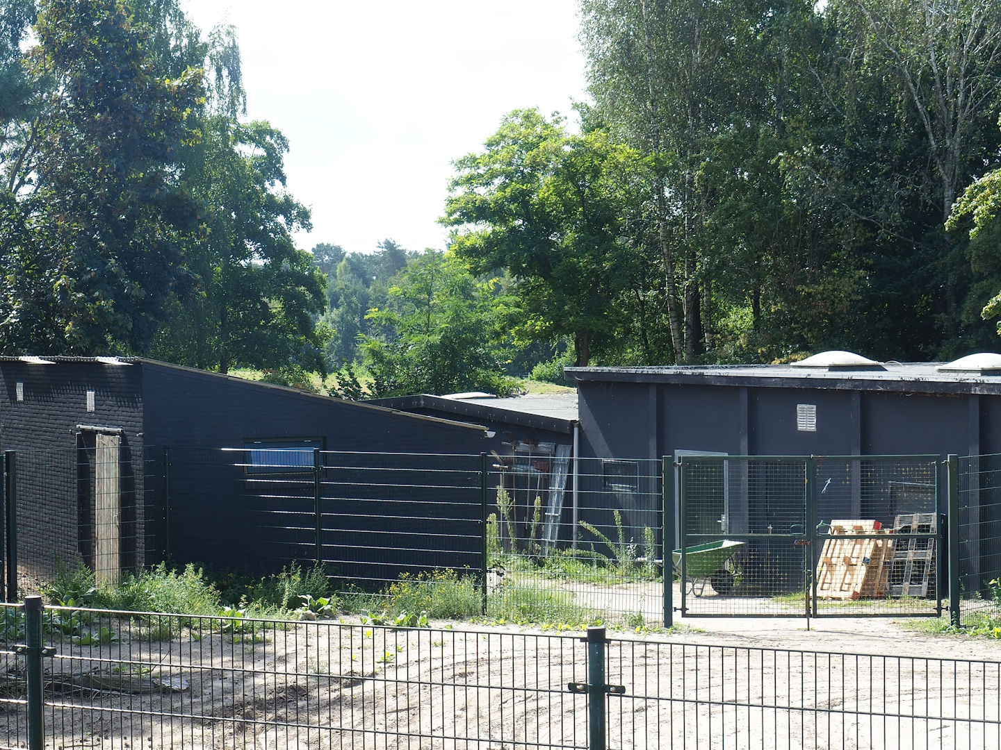Ungulate holding buildings, 2023-08-15